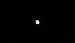 What Is the Moon Phase Tonight? Current Waxing Gibbous