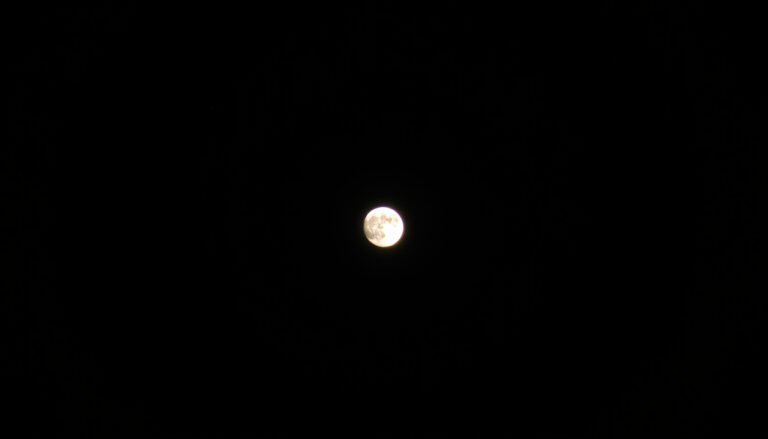What Is the Moon Phase Tonight? Current Waxing Gibbous